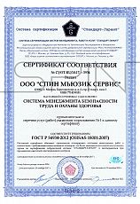 Система Менеджмента Безопасности Труда и Охраны Здоровья