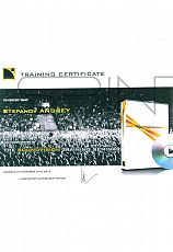 Сертификат - THE SOUNDVISION