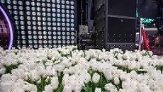 С праздником 8 марта!